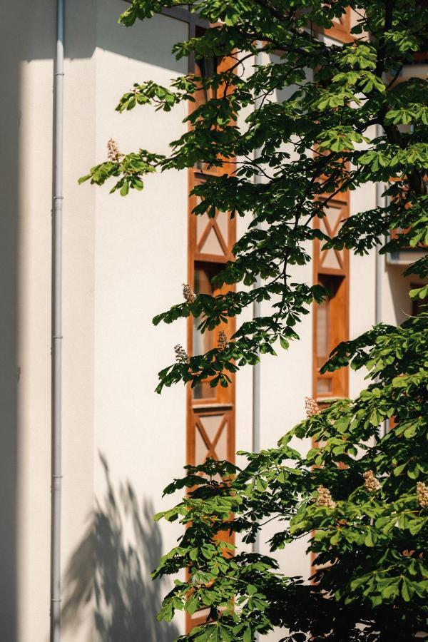 Sosnowe Tarasy Apartment Mielno  Bagian luar foto